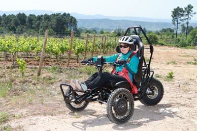 Trialp - Fauteuil tout terrain électrique